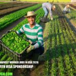 Field Harvest Worker Jobs in USA 2026 with Visa Sponsorship