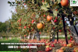 Fruit Picking Jobs in Australia with Visa Sponsorship 2026