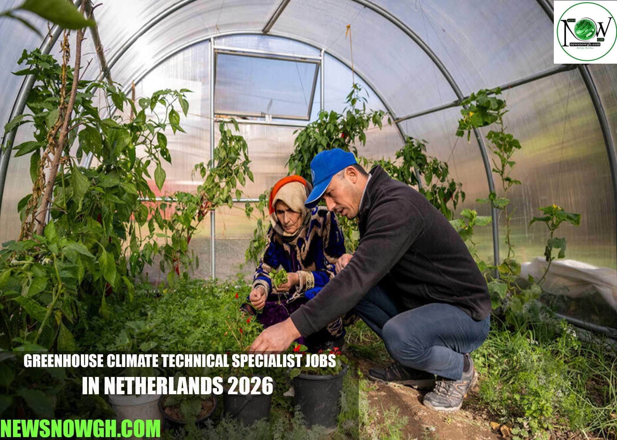 Greenhouse Climate Technical Specialist Jobs in Netherlands 2026