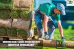 Grounds/Maintenance Jobs in USA 2026 with Visa Sponsorship