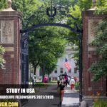 Harvard Radcliffe Fellowships