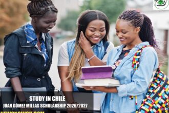 Juan Gómez Millas Scholarship