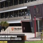 Murdoch International Welcome Scholarships