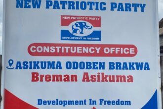 New Partriotic Party