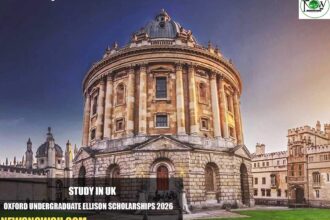 Oxford Undergraduate Ellison Scholarships