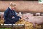 Pig Farm Worker Jobs in Scotland