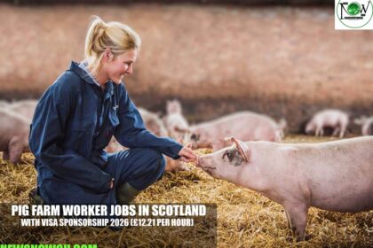 Pig Farm Worker Jobs in Scotland