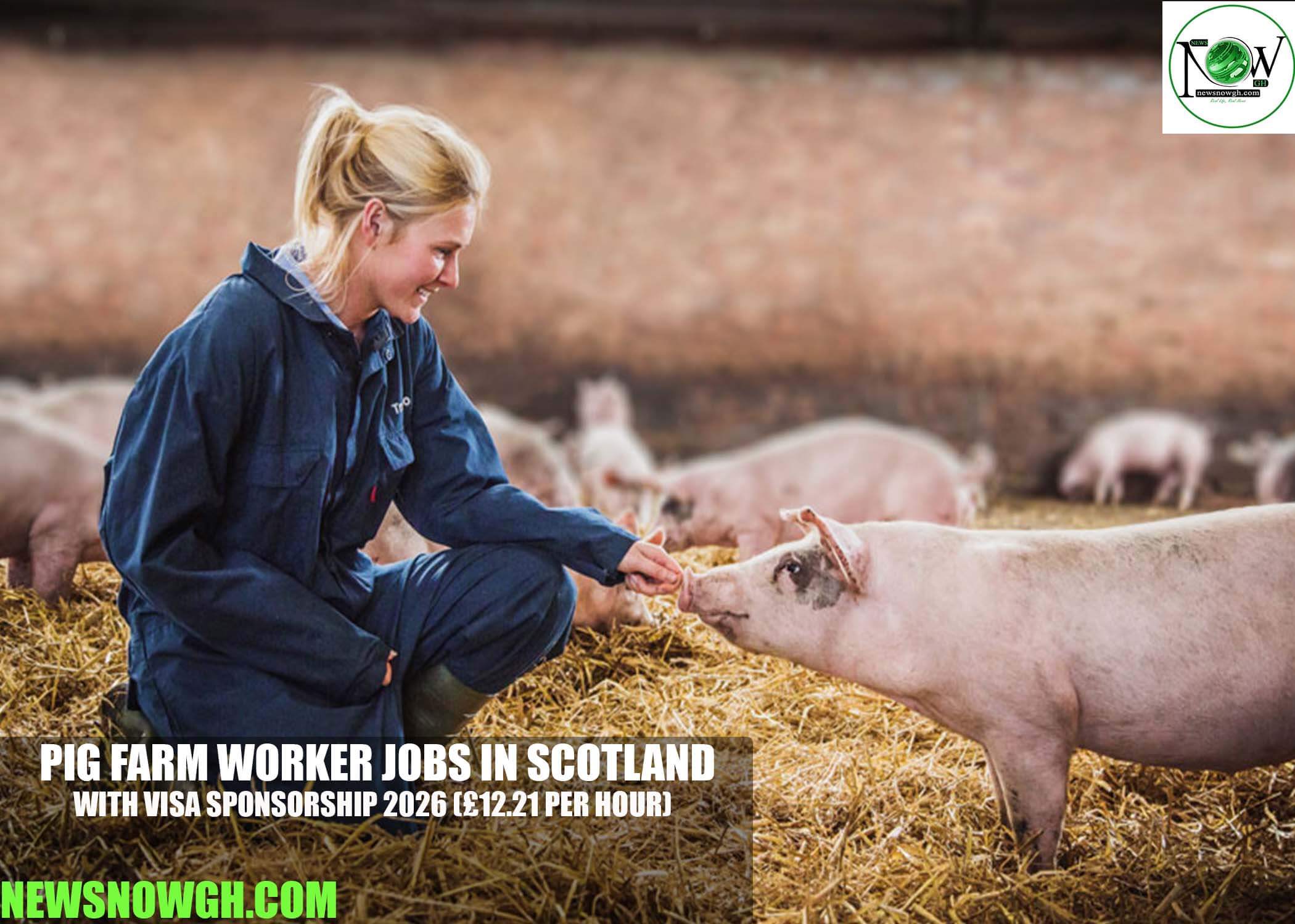 Pig Farm Worker Jobs in Scotland