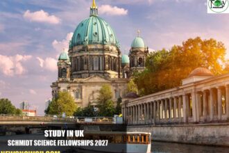 Schmidt Science Fellowships