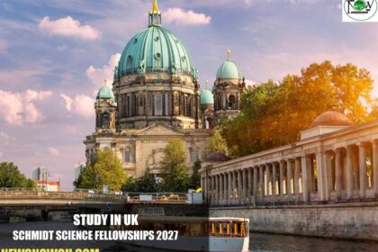 Schmidt Science Fellowships