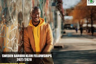 Sweden Barbro Klein Fellowships