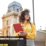 UK Government DSIT Fellowships