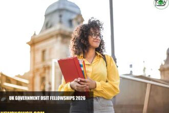 UK Government DSIT Fellowships