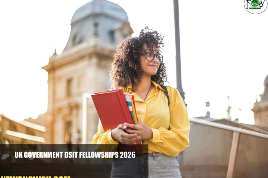 UK Government DSIT Fellowships