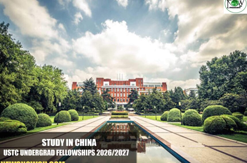 USTC Undergrad Fellowships