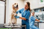 Veterinary Medic Jobs in UK 2026
