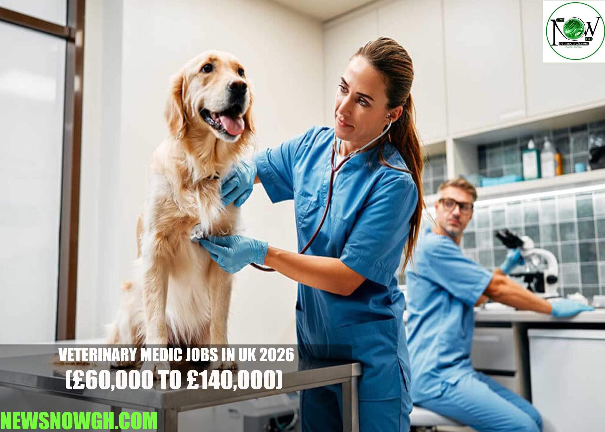Veterinary Medic Jobs in UK 2026