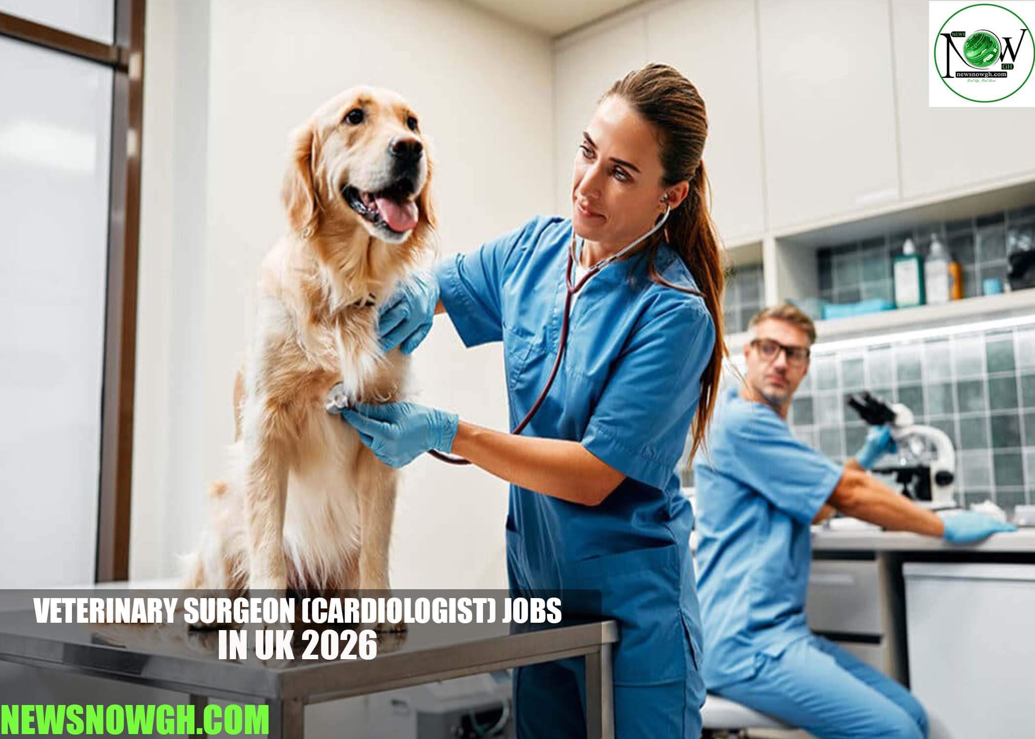 Veterinary Surgeon (Cardiologist) Jobs in UK 2026