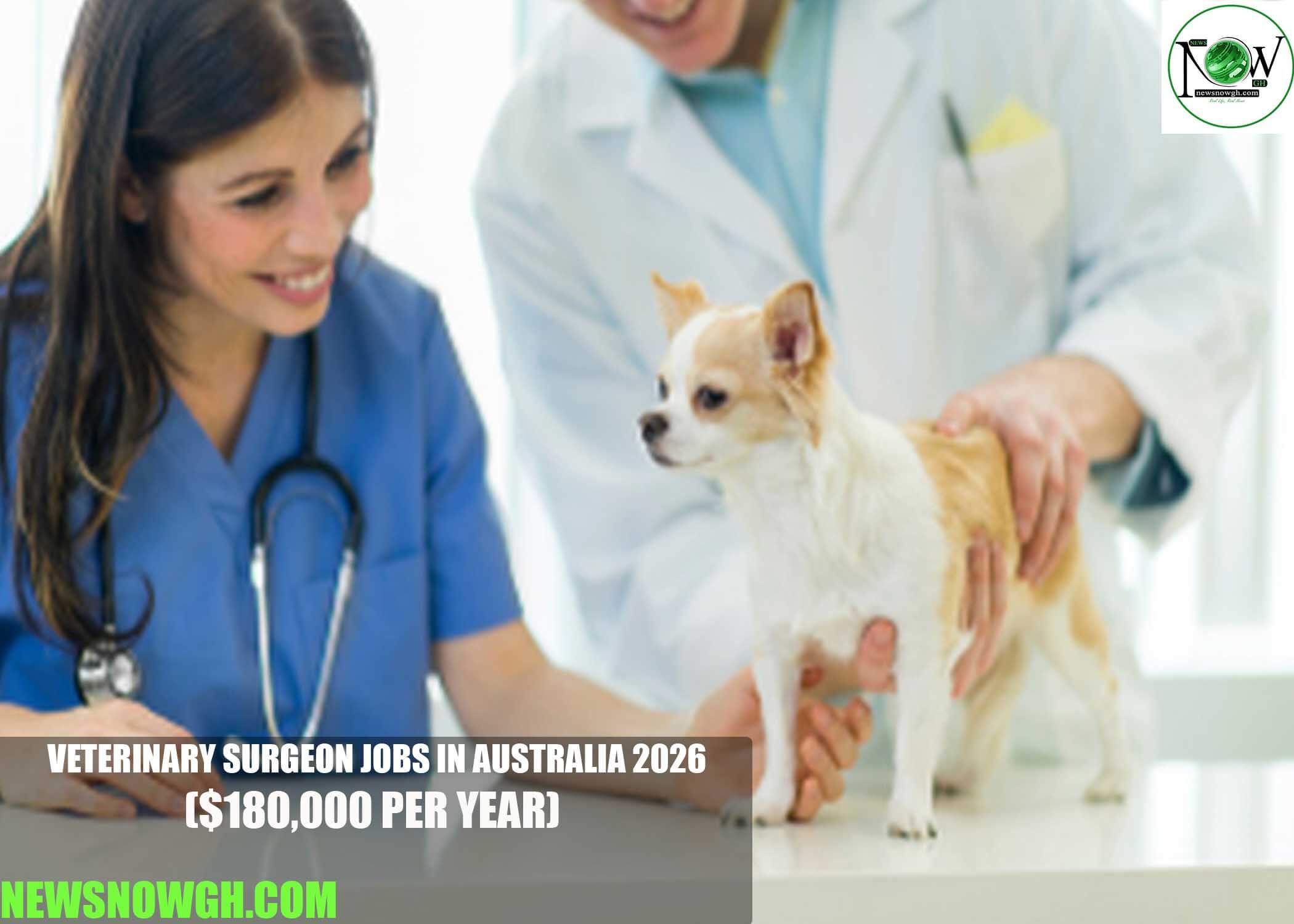 Veterinary Surgeon Jobs in Australia 2026