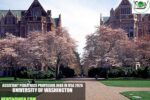 Assistant Pediatrics Professor Jobs in USA 2026 | University of Washington