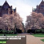 Assistant Pediatrics Professor Jobs in USA 2026 | University of Washington