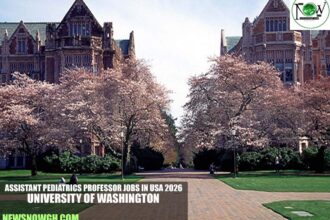 Assistant Pediatrics Professor Jobs in USA 2026 | University of Washington