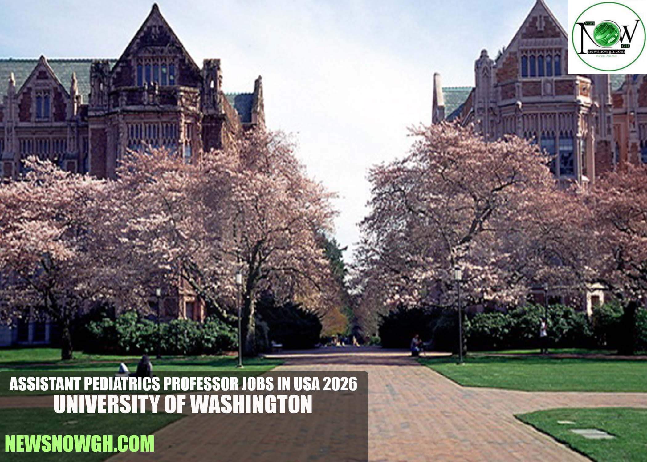 Assistant Pediatrics Professor Jobs in USA 2026 | University of Washington