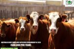 Australia Dairy Farm Jobs with Visa Sponsorship in 2026