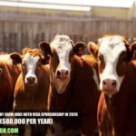 Australia Dairy Farm Jobs with Visa Sponsorship in 2026