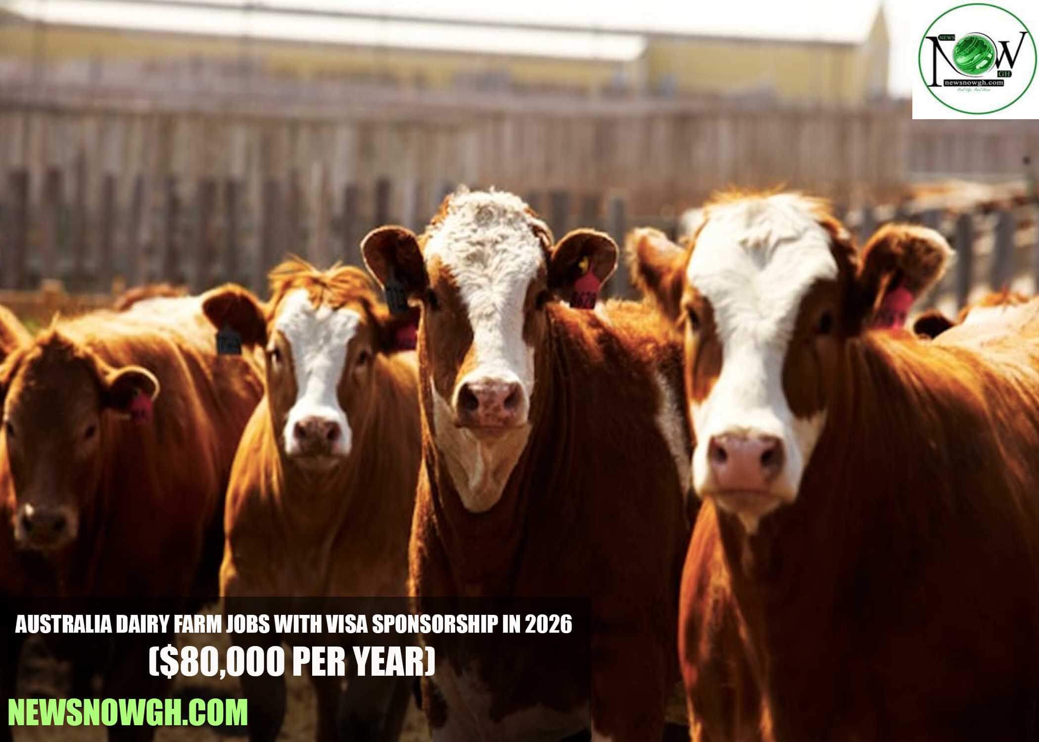 Australia Dairy Farm Jobs with Visa Sponsorship in 2026