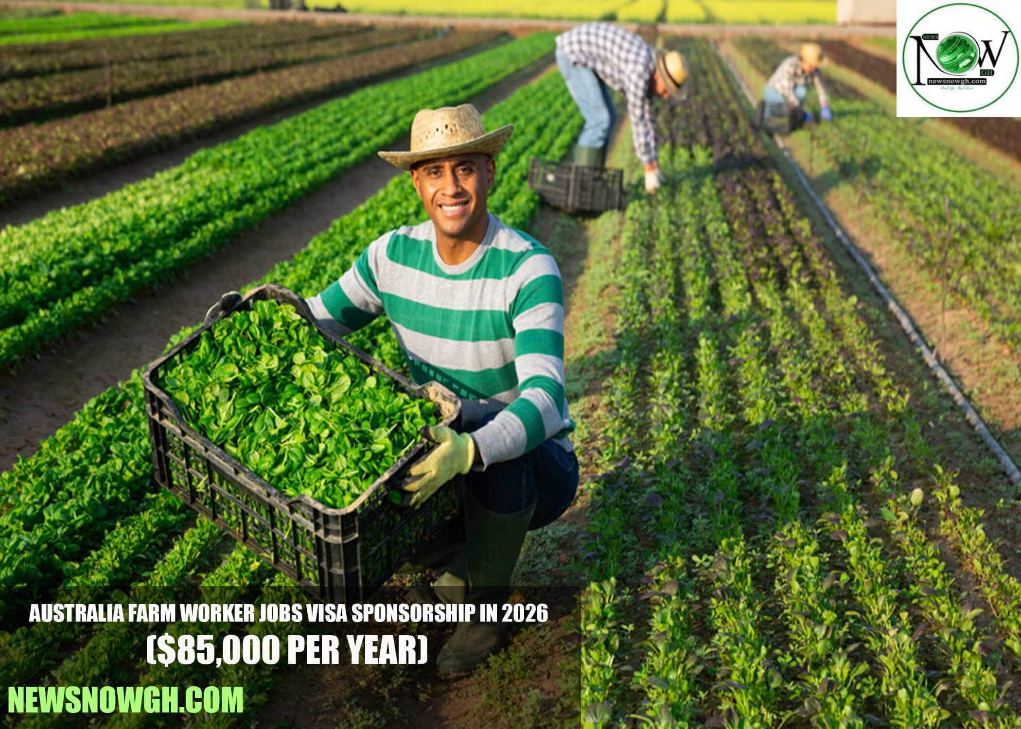 Australia Farm Worker Jobs Visa Sponsorship