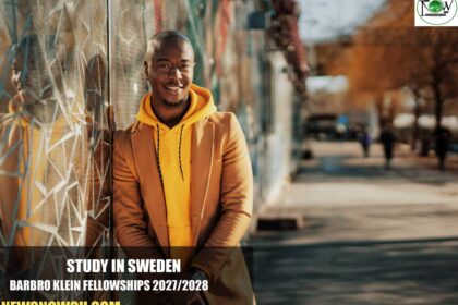 Barbro Klein Fellowships