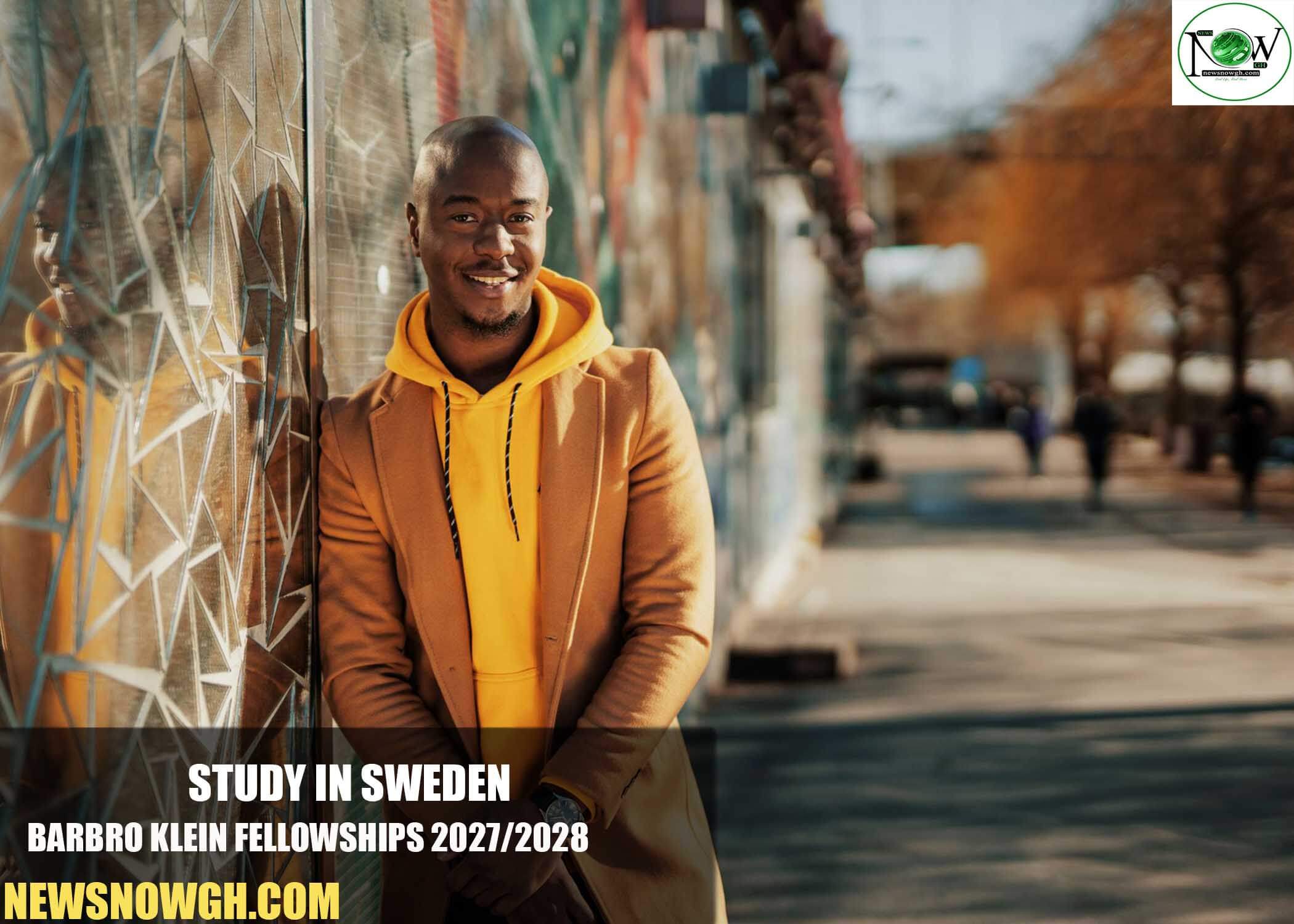 Barbro Klein Fellowships