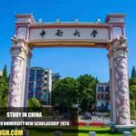 Central South University New Scholarship
