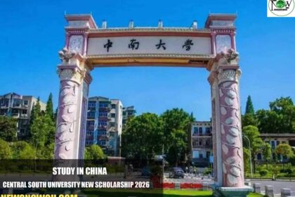 Central South University New Scholarship