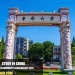 Central South University Scholarship