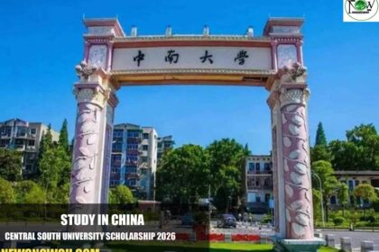 Central South University Scholarship