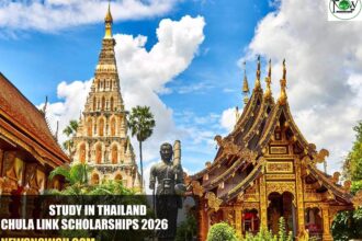 Chula LINK Scholarships