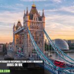 Community Integrated Response Team (CIRT) Manager Jobs in UK
