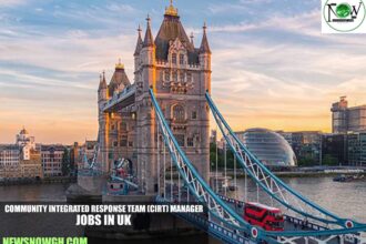 Community Integrated Response Team (CIRT) Manager Jobs in UK