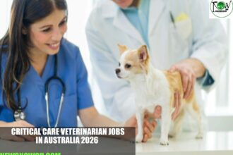 Critical Care Veterinarian Jobs in Australia 2026