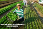 Croatia Farms Jobs with Visa Sponsorship in 2026