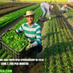 Croatia Farms Jobs with Visa Sponsorship in 2026