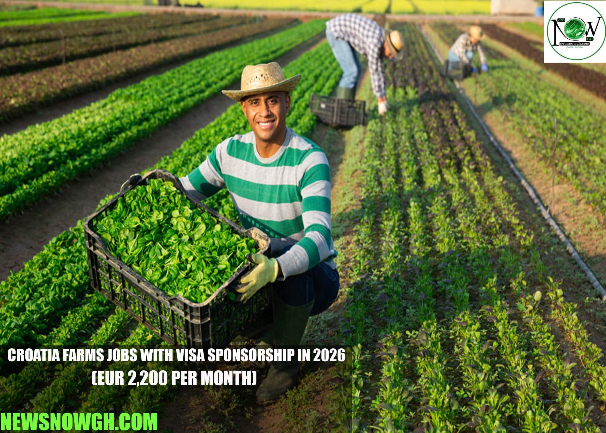 Croatia Farms Jobs with Visa Sponsorship in 2026