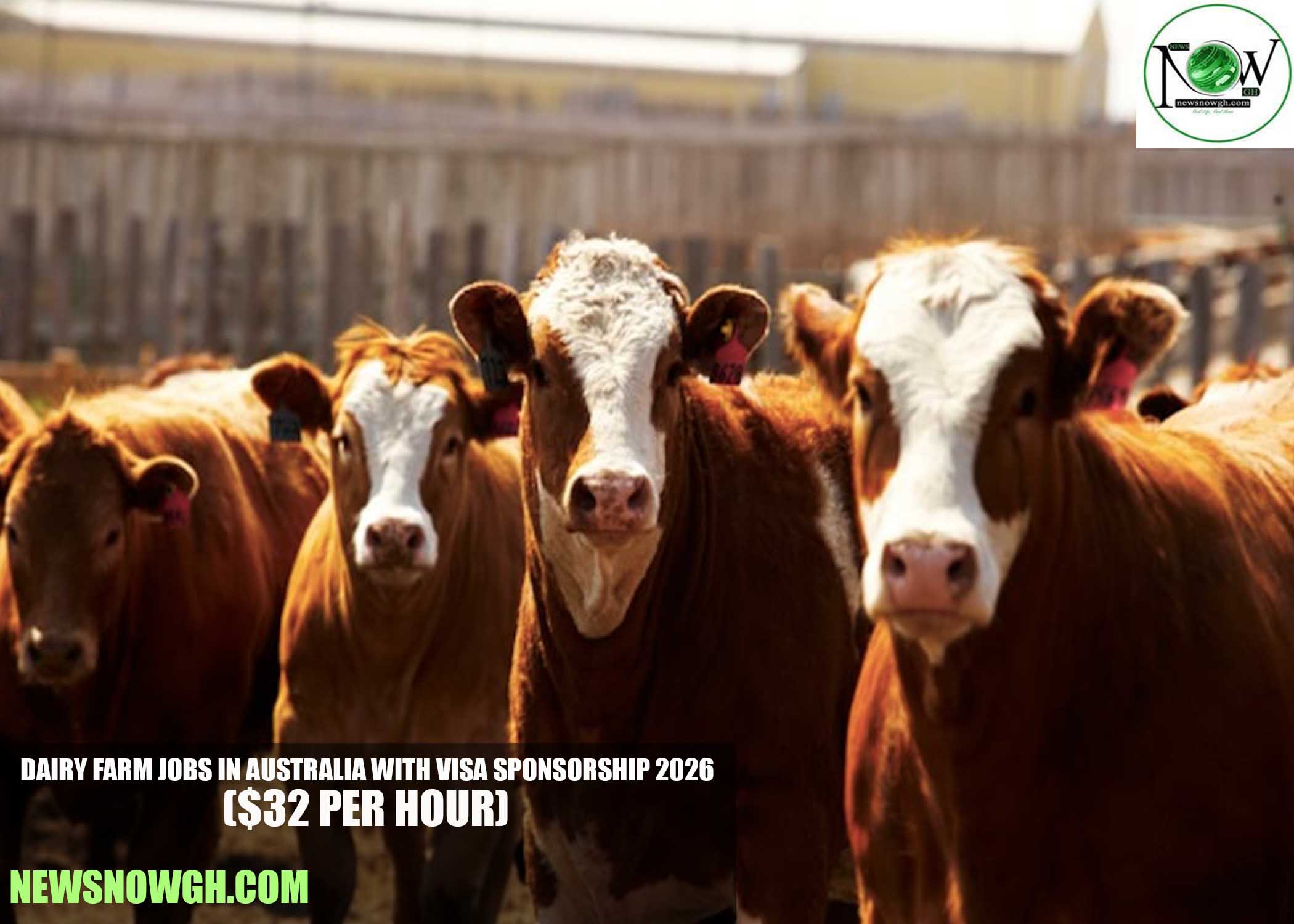 Dairy Farm Jobs in Australia with Visa Sponsorship 2026