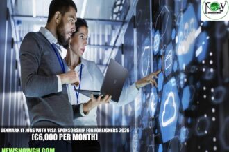 Denmark IT Jobs with Visa Sponsorship