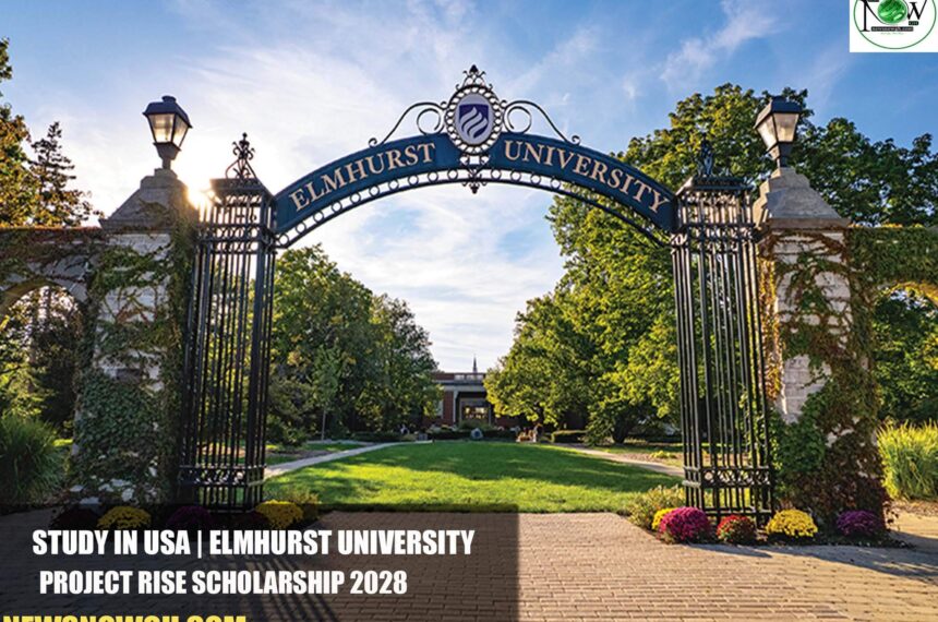 Elmhurst University Project RISE Scholarship