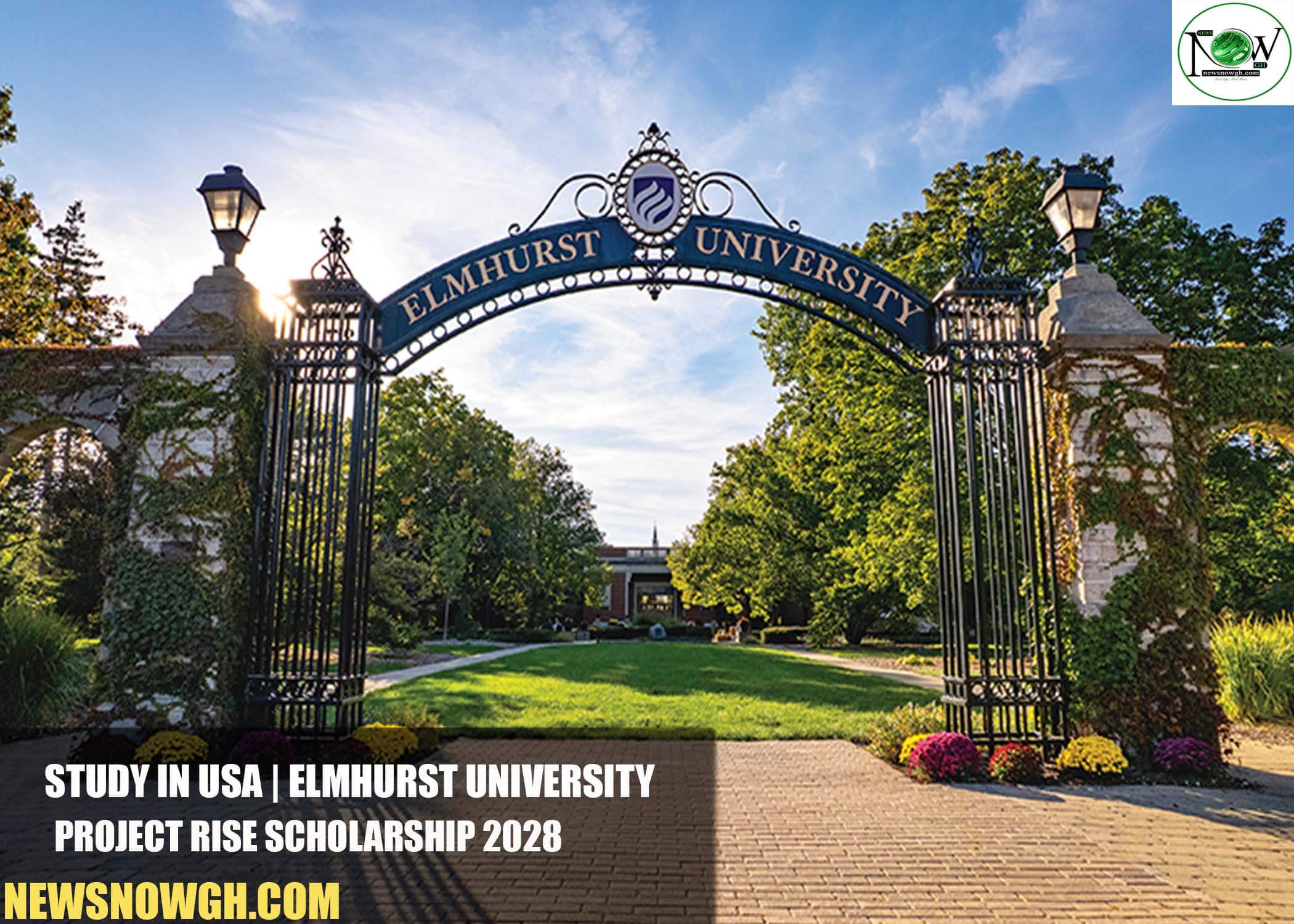 Elmhurst University Project RISE Scholarship