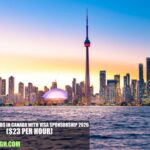 Entry-Level Jobs in Canada with Visa Sponsorship 2026