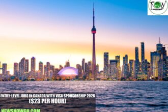 Entry-Level Jobs in Canada with Visa Sponsorship 2026